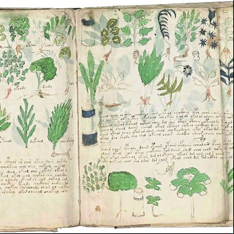 El enigma del manuscrito más antiguo del mundo, que nadie pudo descifrar en 110 años