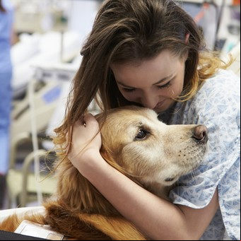 ¿Pueden las enfermedades de los perros predecir problemas de salud en los humanos?