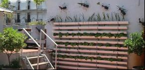 Cómo armar una huerta en la terraza