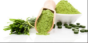 Espirulina, el “superalimento” que ya crece en las terrazas
