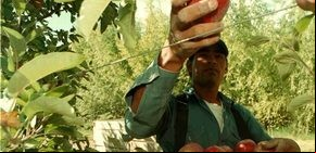 El gobernador de Río Negro se puso al frente del reclamo frutícola por un alivio impositivo