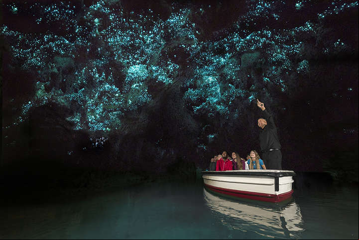 Cuevas de Waitomo y los gustanos luminosos (Corin Walker Bain).