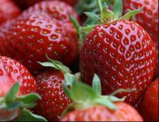 Siete poderosos frutos rojos que no deben faltar en la mesa