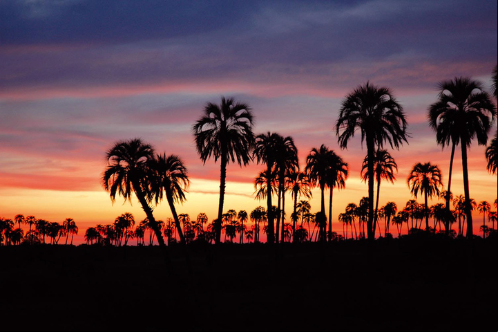 El Palmar en Entre Ríos.