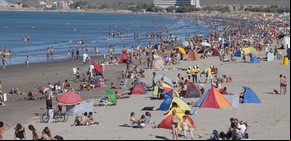 Playa, buceo, pingüinos, delfines: cuánto cuestan las vacaciones en Puerto Madryn