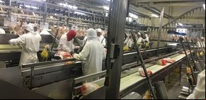 La industria de la proteína animal más consumida de Argentina reclama "decisión política" para seguir creciendo