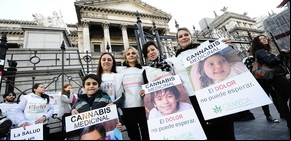 El Congreso ya discute el uso de la marihuana para tratar enfermedades