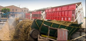 Penurias y oportunidades del sector sucroalcoholero argentino