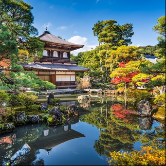 Las 6 tradiciones de Japón que fascinan a Occidente