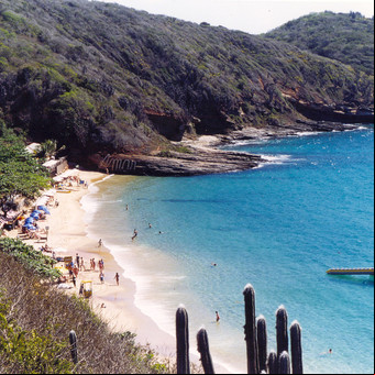 Las playas, más cerca: aumentarán más de 50% las frecuencias aéreas a Brasil