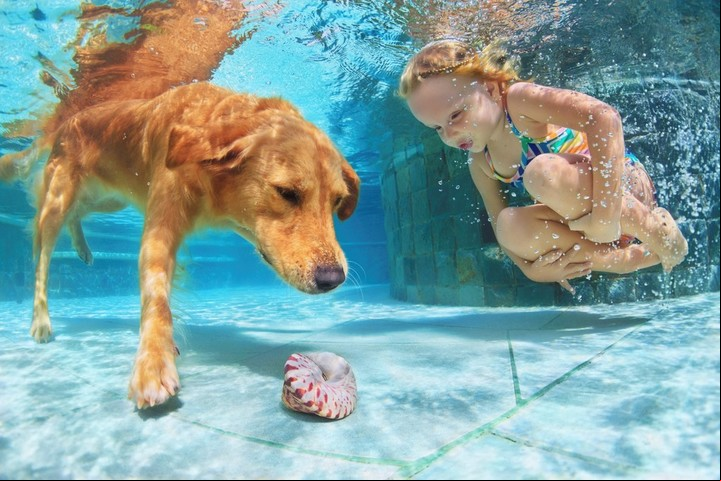 Los perros tienen un "efecto protector" en los niños para que no desarrollen luego esquizofrenia. (Foto: iStock Photos)