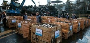 Diez años de (des) control de armas en la Argentina