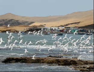 Paracas, el desierto peruano que está de moda
