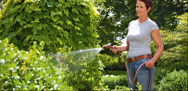 ¿Cuántas veces hay que regar las plantas en otoño?