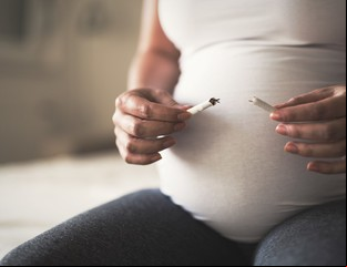 Fumar en el embarazo afectaría la fertilidad por dos generaciones