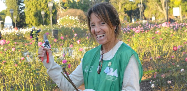 Qué plantas podar en otoño, según expertos en jardinería