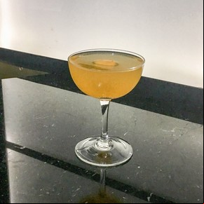 Mimosa