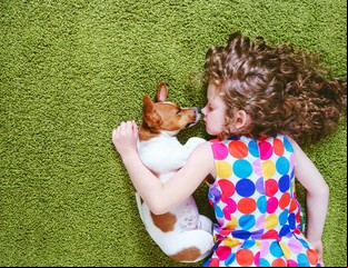 Los perros y un sorprendente efecto relacionado a la esquizofrenia