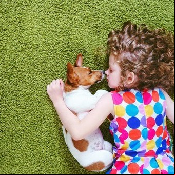 Los niños que tienen o con perros tienen menos posibilidades de desarrollar esquizofrenia