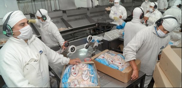 Tras los casos de gripe aviar, se recuperaron las exportaciones de pollo
