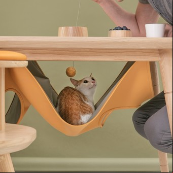 Muebles para gatos y sus dueños: el desafío de compartir