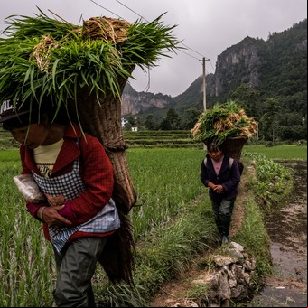 La cuarta Revolución Industrial mejora las condiciones de vida de la población rural