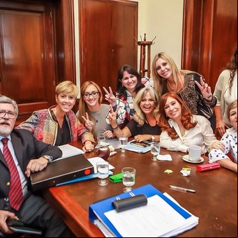 Cristina Kirchner: voto verde y razones para abandonar el silencio táctico