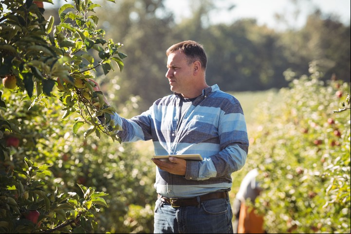Blockchain puede ser una herramienta para la agricultura y certificar que se produce con sustentabilidad.