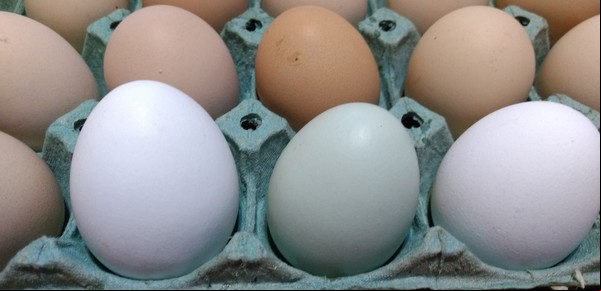 Por qué los huevos de color son más caros que los blancos y qué diferencias tienen