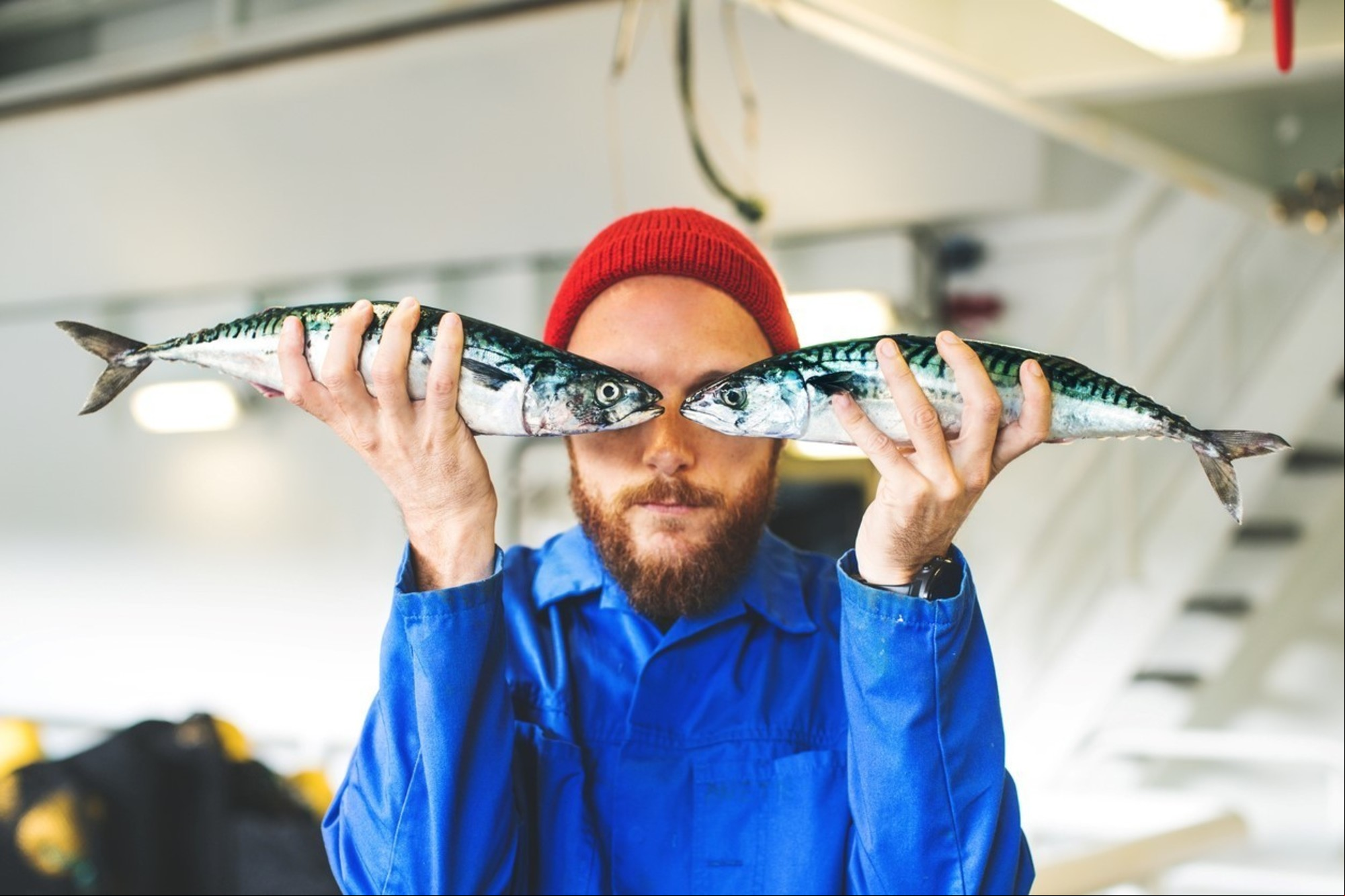 Los pescados son un pilar de la dieta nórdica. Salmón, bacalao, arenques y merluza.