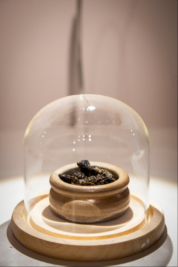 Foto: Thue disgusting food museum