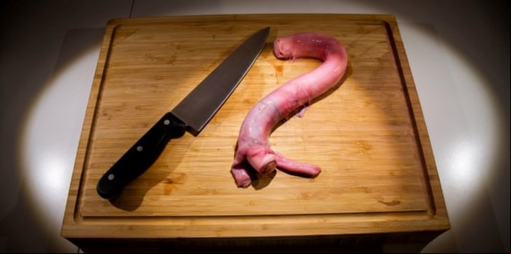 Foto: Thue disgusting food museum