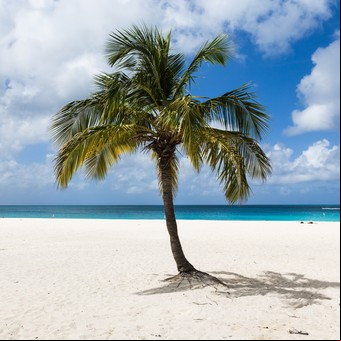 Playas soñadas y todos los sabores del mundo, el combo perfecto en el Caribe