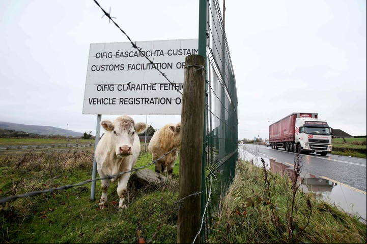 La vaca y un antiguo aviso aduanero en Dundalk, Irlanda. (AFP)