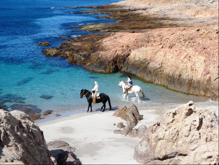 Cabalgatas por la costa cercana a Camarones, en Chubut (Bahía Bustamante Lodge)