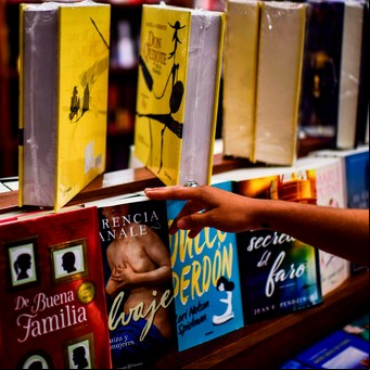 Quieren crear un Instituto Nacional para defender el libro