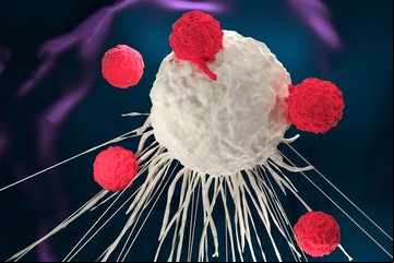 Apuran un plan inédito en el país para tratar el cáncer en la sangre con una fórmula esperanzadora