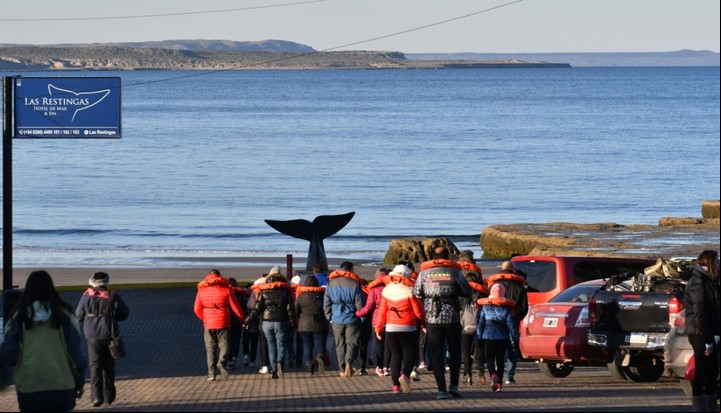 Avistaje desde la playa de El Doradillo. Foto Diario Jornada