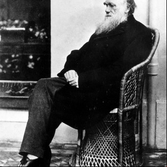 El día que Charles Darwin compartió un asado con cuero con Juan Manuel de Rosas