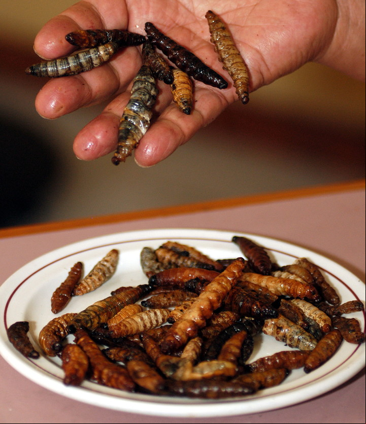 Un platillo de gusanos de maguey.