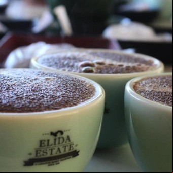 ¿Pagarías $ 3.412 por la taza de café más cara del mundo?