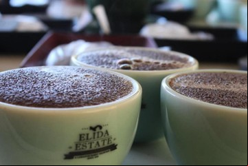 ¿Pagarías $ 3.412 por la taza de café más cara del mundo?