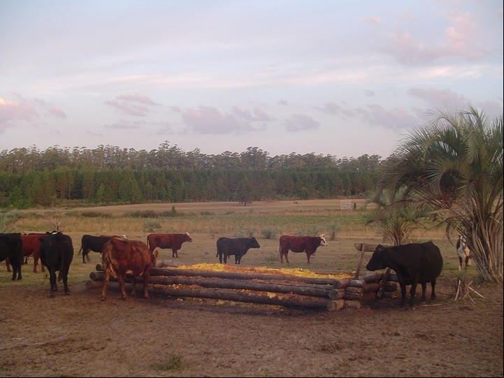 La región pampeana (provincias de La Pampa, Córdoba, Santa Fe, Entre Ríos y Buenos Aires) ocupa la segunda posición en cuanto a calidad de vida