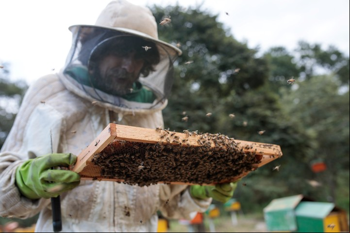 La ausencia de anteojos de protección durante labores de jardinería, en trabajo agrícola o durante paseos en bicicleta es peligrosa (Bloomberg).
