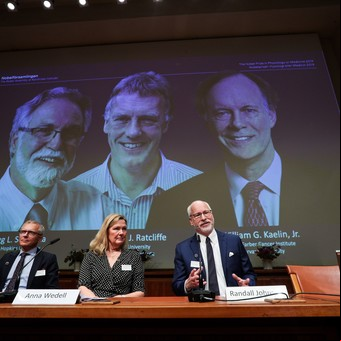 Premio Nobel de Medicina a descubrimientos que podrían derivar en tratamientos para el cáncer y la anemia