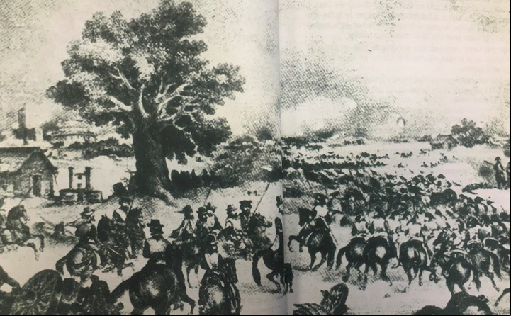 Luego de la Batalla de Caseros, Alberdi escribe Bases, fuente clave para la Constitución Nacional. / Archivo