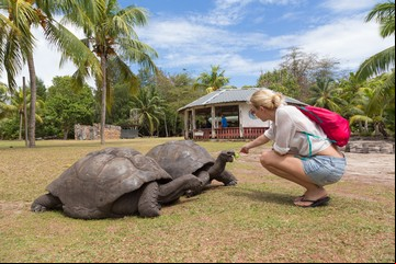 El laboratorio de Darwin: todo lo que podés ver en las islas Galápagos