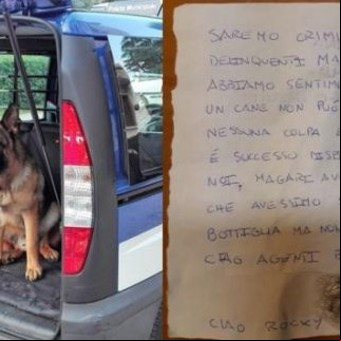 Murió un perro antidrogas y los traficantes le mandaron una emotiva carta de despedida