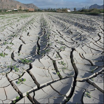 Descubren un microbio volcánico que consume dióxido de carbono "asombrosamente rápido"