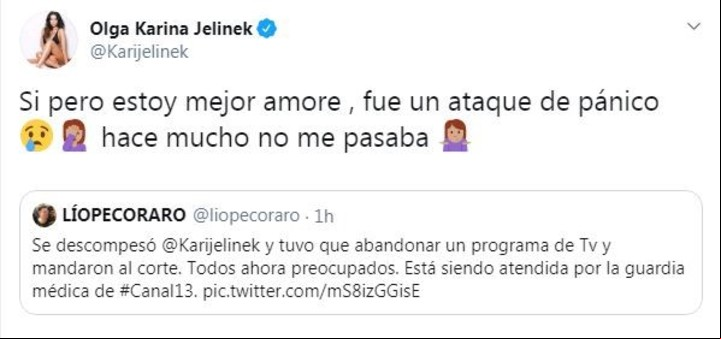 El mensaje de Karina Jelinek contando que sufrió un ataque de pánico.
